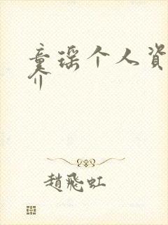 童瑶个人资料简介