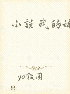 小说 我的娇妻