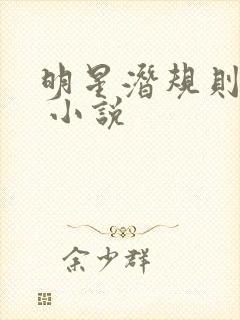 明星潜规则之皇 小说