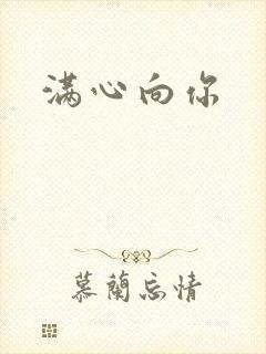 满心向你封面