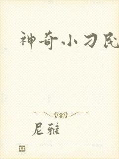 神奇小刁民封面