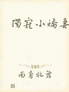 独宠小娇妻封面