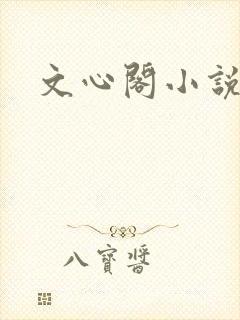 文心阁小说封面