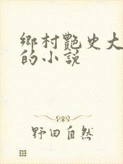 乡村艳史大肉榛的小说封面