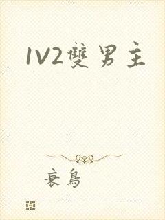 1V2双男主