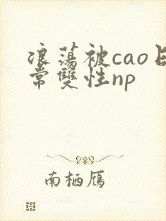 浪荡被cao日常双性np