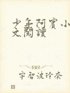 少年阿宾小说全文阅读