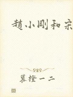 赵小刚和宋雨晴