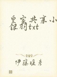 皇家共享小公主银羽txt封面