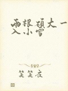 两根硕大一起挤入小雪