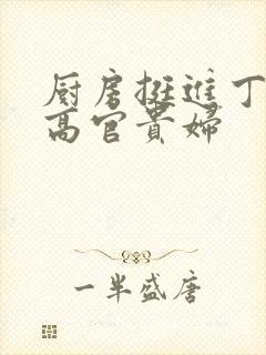 厨房挺进丁字裤高官贵妇