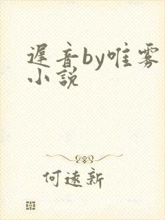 迟音by唯雾的小说封面