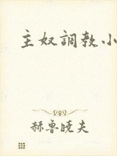 主奴调教小说封面