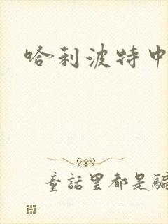 哈利波特中文版