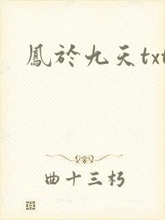 凤于九天txt封面