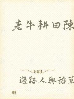 老牛耕田陈雪