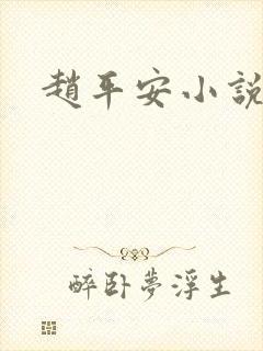 赵平安小说主角