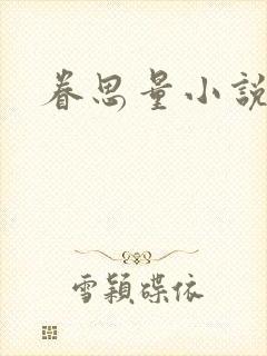 眷思量小说封面