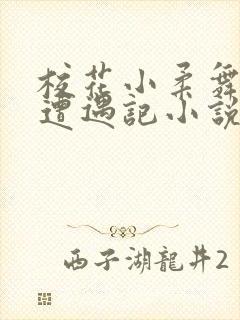 校花小柔舞蹈室遭遇记小说