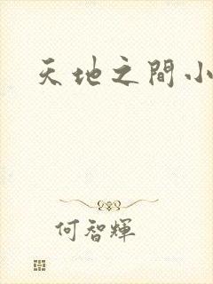 天地之间小说