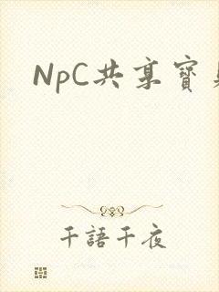 NpC共享宝贝