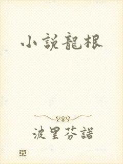 小说龙根