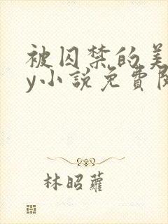 被囚禁的美人by小说免费阅读