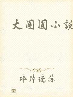 大团圆小说封面