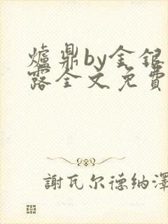 炉鼎by金银花露全文免费阅读笔趣阁