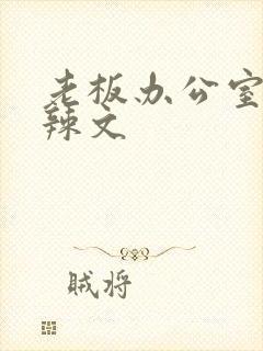 老板办公室系列辣文