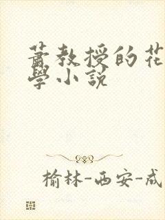 萧教授的花式教学小说