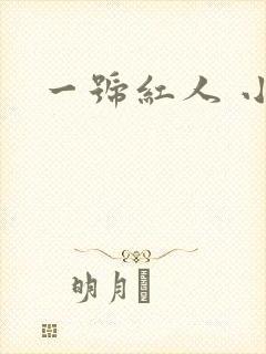 一号红人 小说