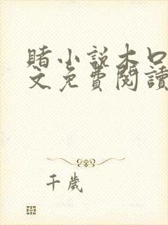 赌小说木口银全文免费阅读笔趣阁封面