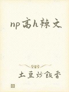 np高h辣文