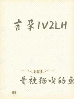有孕1V2LH