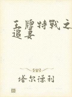 王牌特战之军少追妻封面