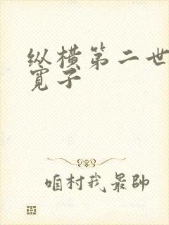 纵横第二世界 宽子
