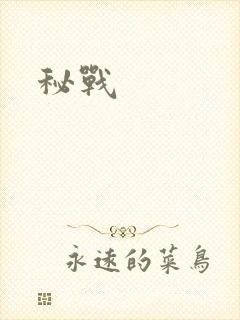 秘战封面