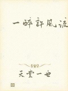 一醉许风流封面