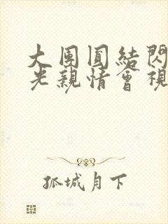 大团圆结闪闪发光亲情会视频