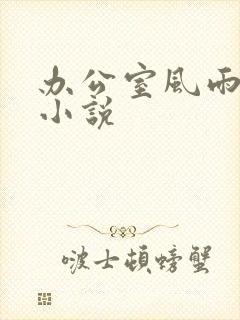 办公室风雨完整小说
