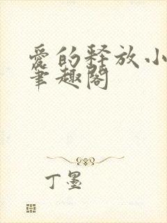 爱的释放小说 笔趣阁