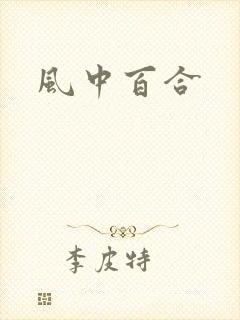 风中百合封面