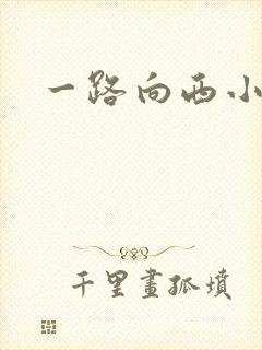 一路向西小说