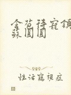 含苞待宠镇国公苏圆圆