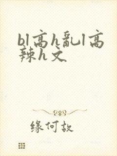 bl高h乱l高辣h文