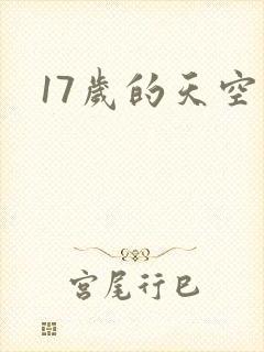 17岁的天空