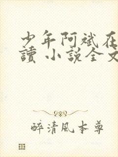 少年阿斌在线阅读 小说全文免费
