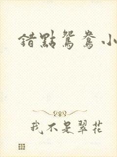 错点鸳鸯小说封面