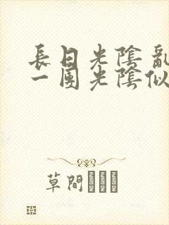 长日光阴 乱作一团光阴似箭封面